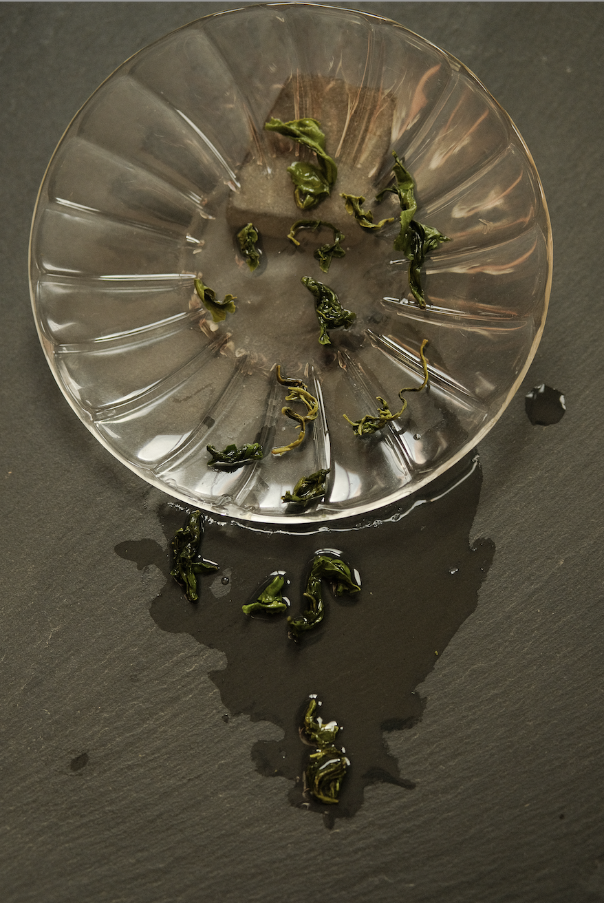 Sea Mist green tea