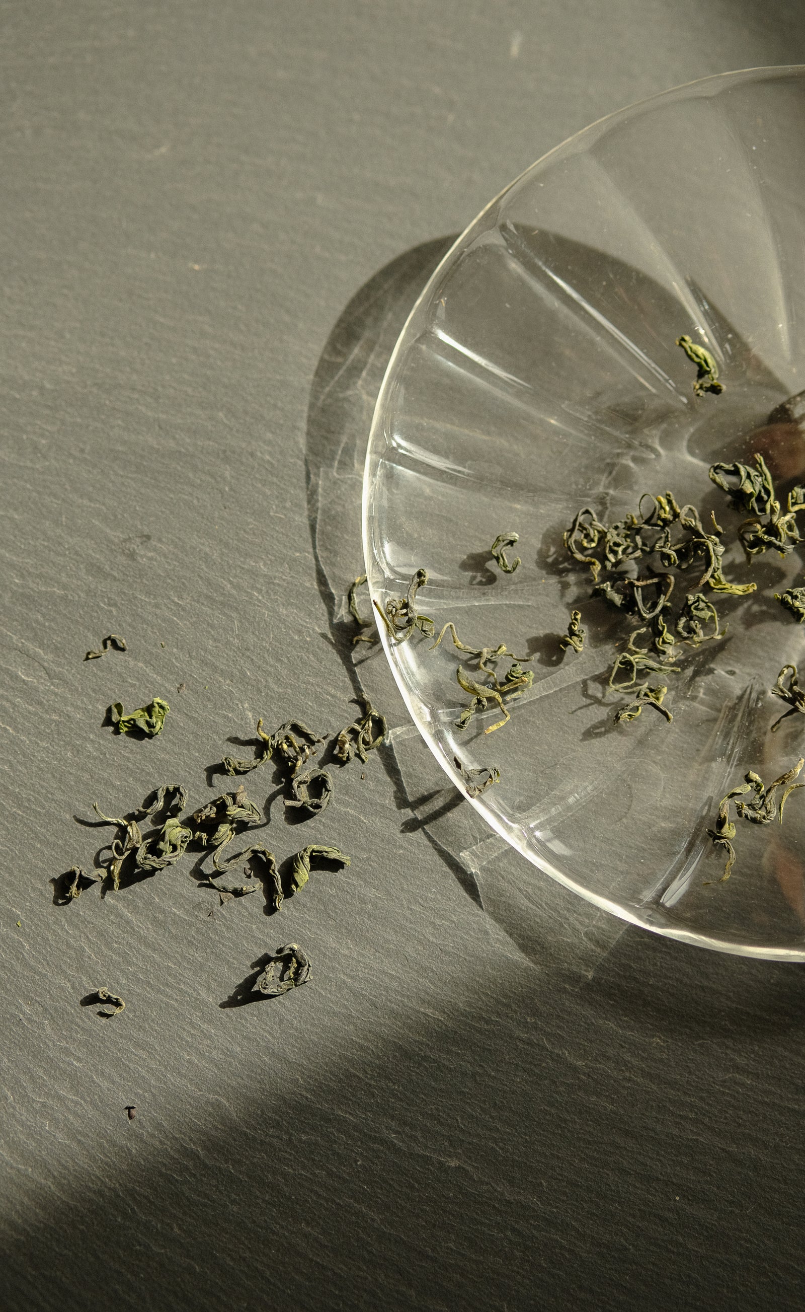 Sea Mist green tea