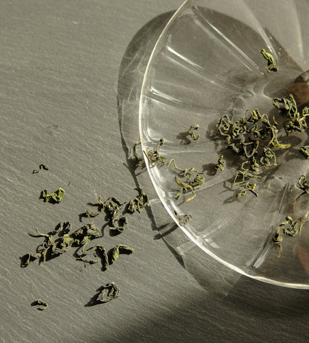 Sea Mist green tea