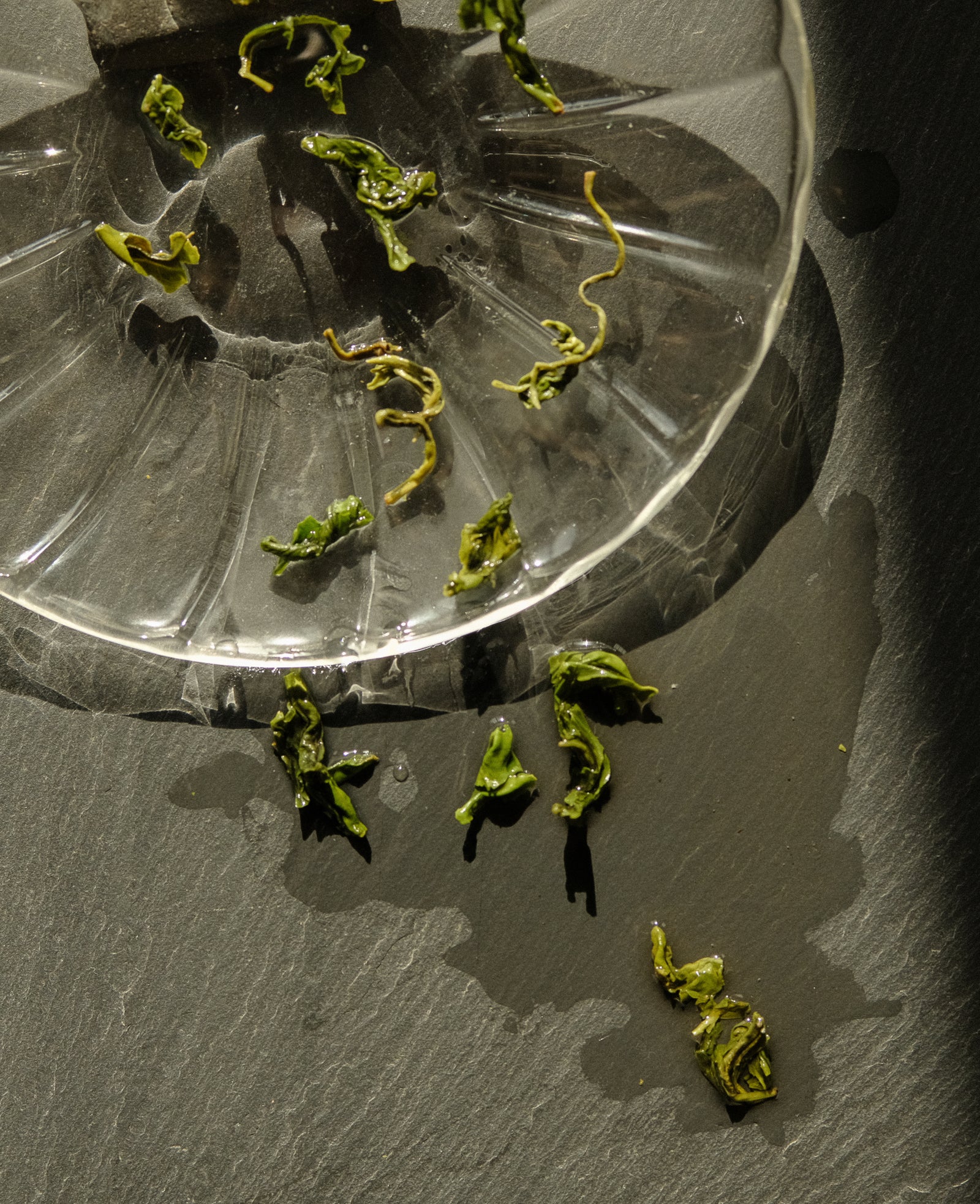 Sea Mist green tea
