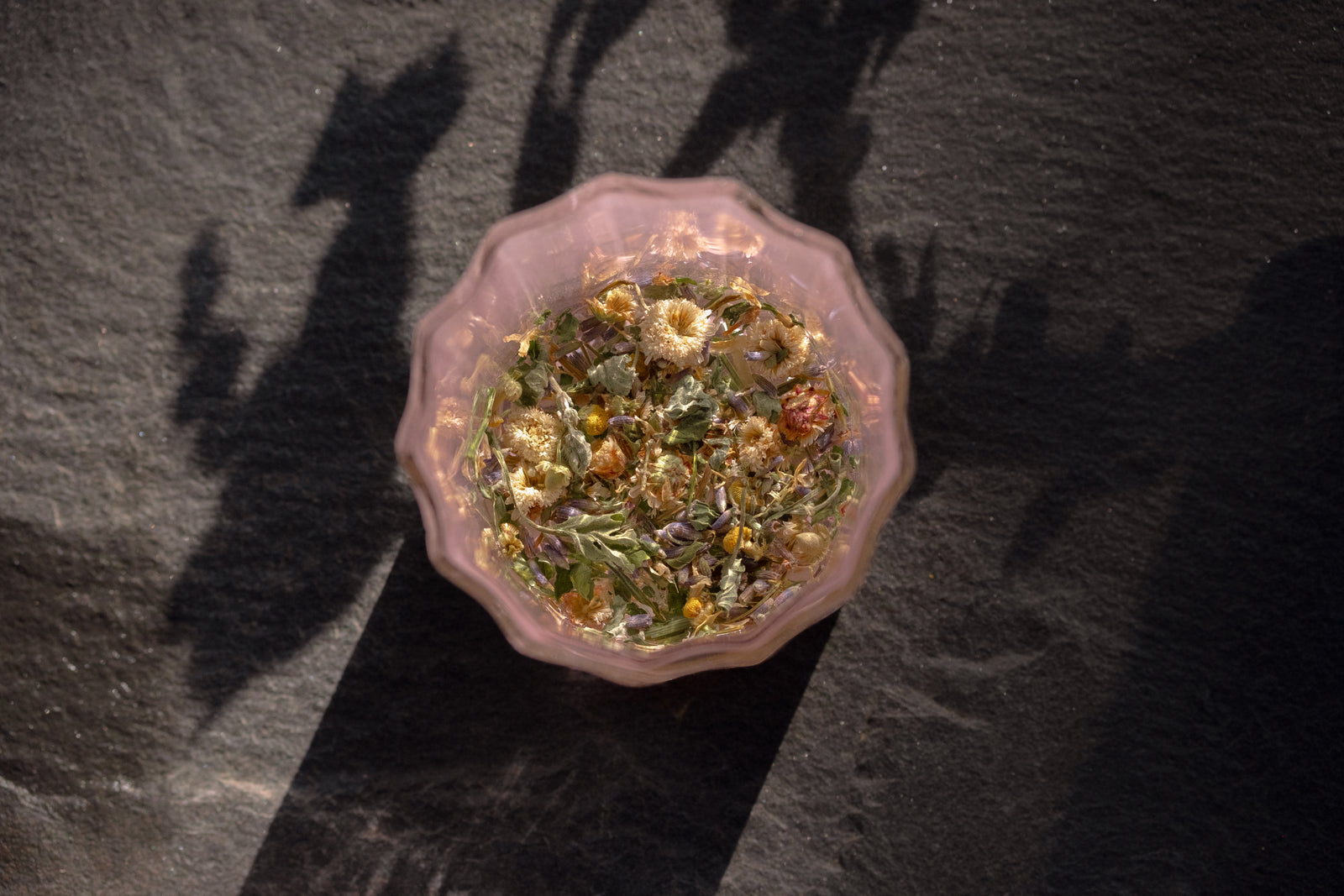 Sleep Tea Wholesale